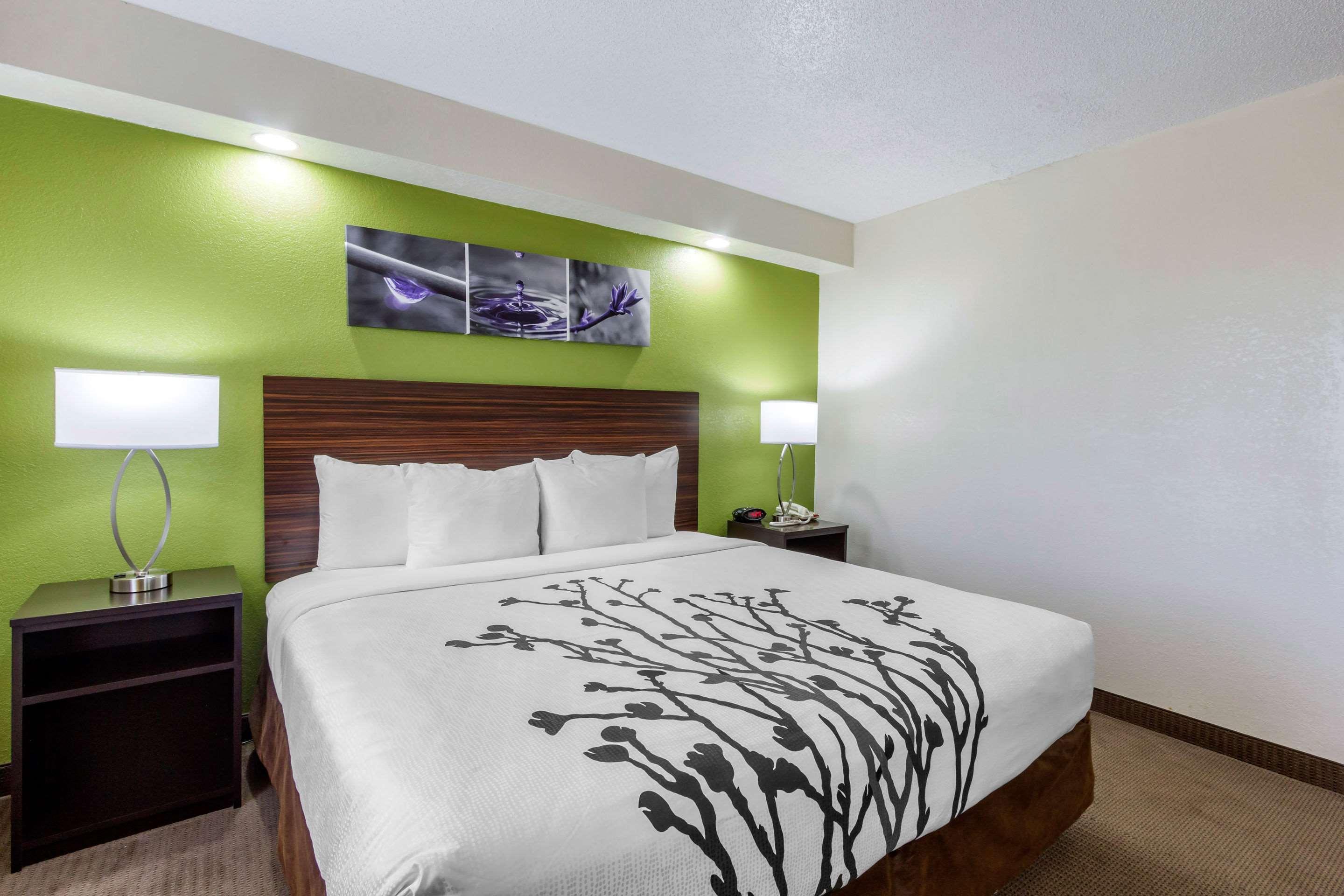 Sleep Inn Near Busch Gardens - Usf Temple Terrace Exteriör bild