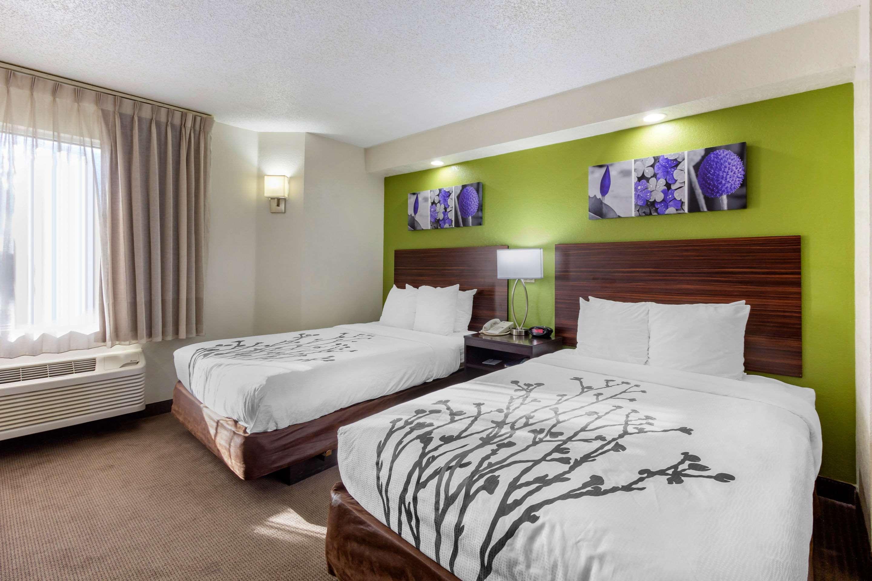 Sleep Inn Near Busch Gardens - Usf Temple Terrace Exteriör bild