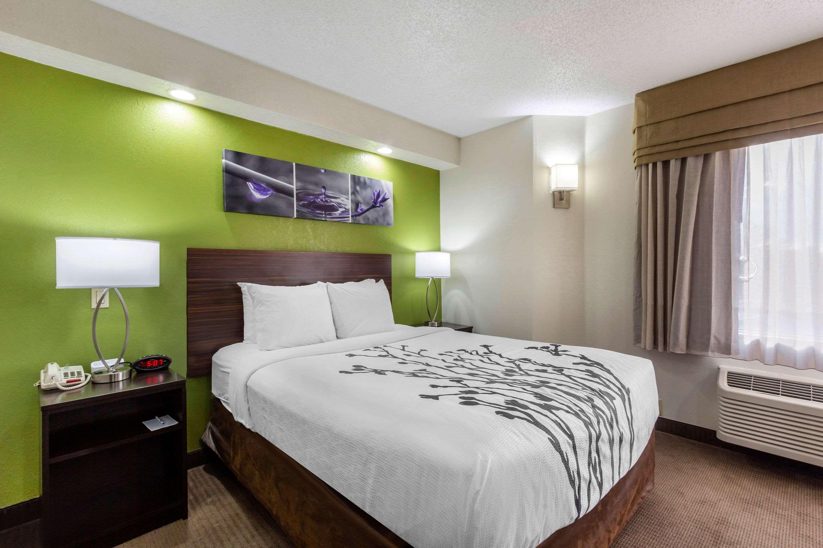 Sleep Inn Near Busch Gardens - Usf Temple Terrace Exteriör bild