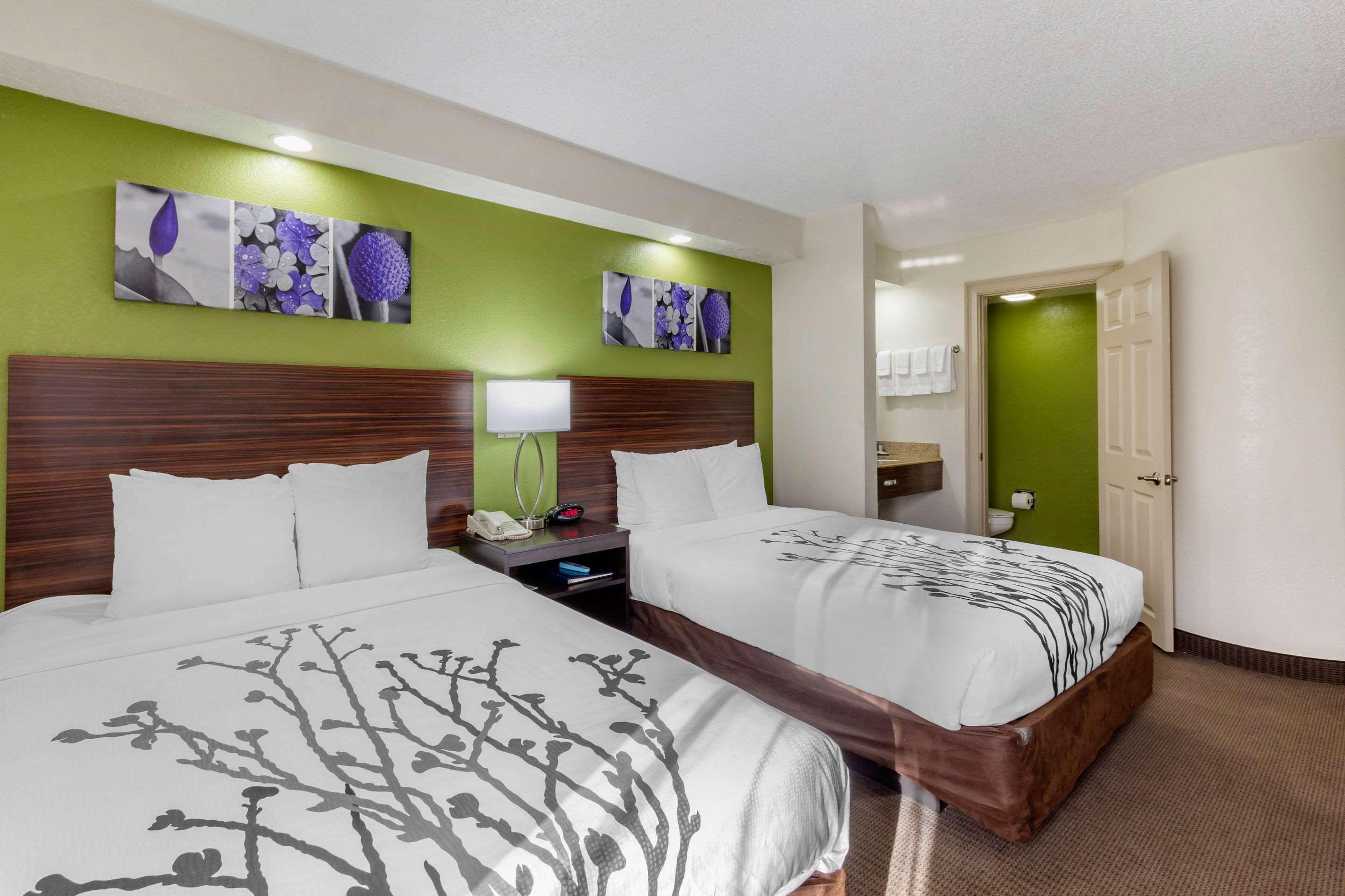 Sleep Inn Near Busch Gardens - Usf Temple Terrace Exteriör bild