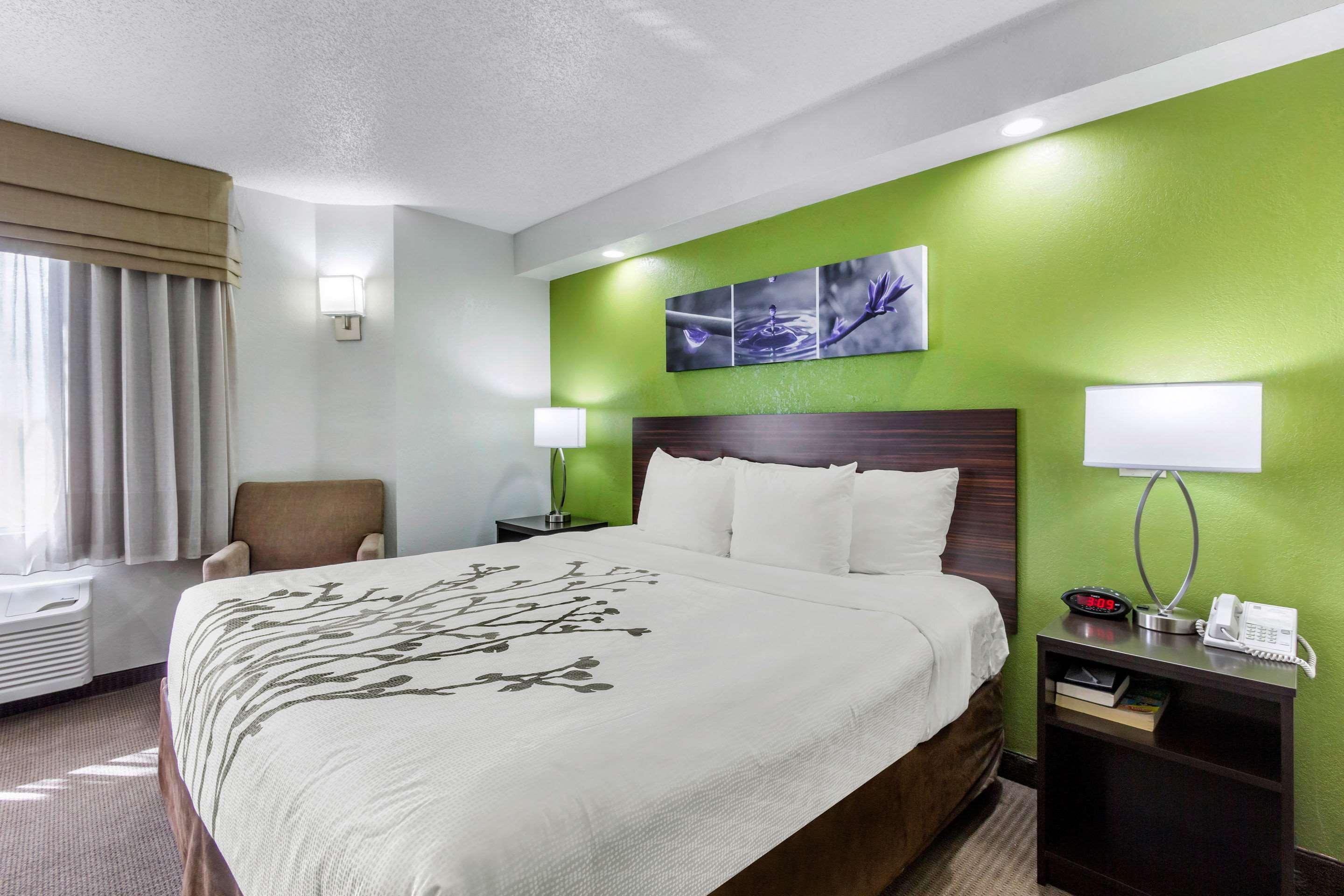 Sleep Inn Near Busch Gardens - Usf Temple Terrace Exteriör bild