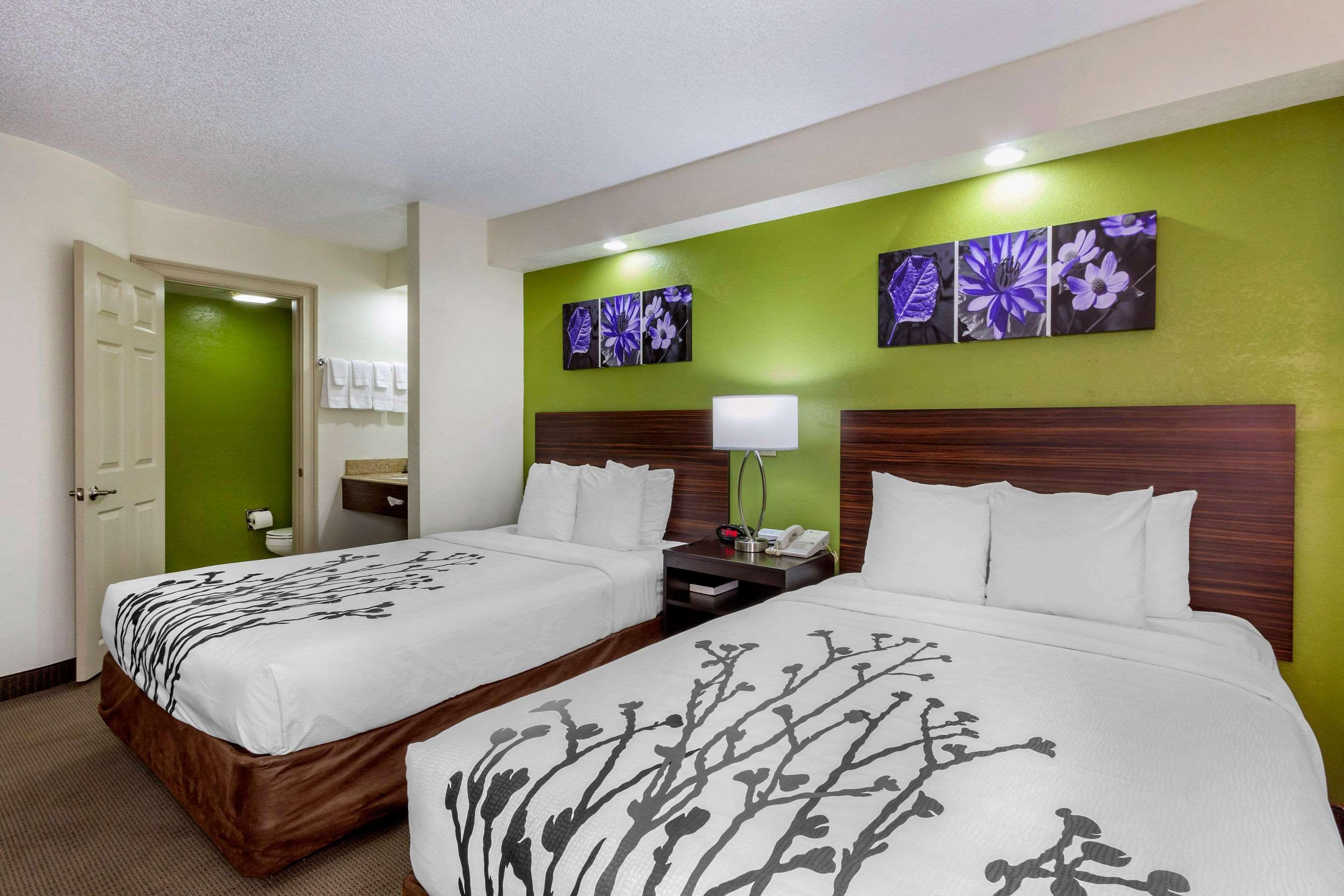 Sleep Inn Near Busch Gardens - Usf Temple Terrace Exteriör bild