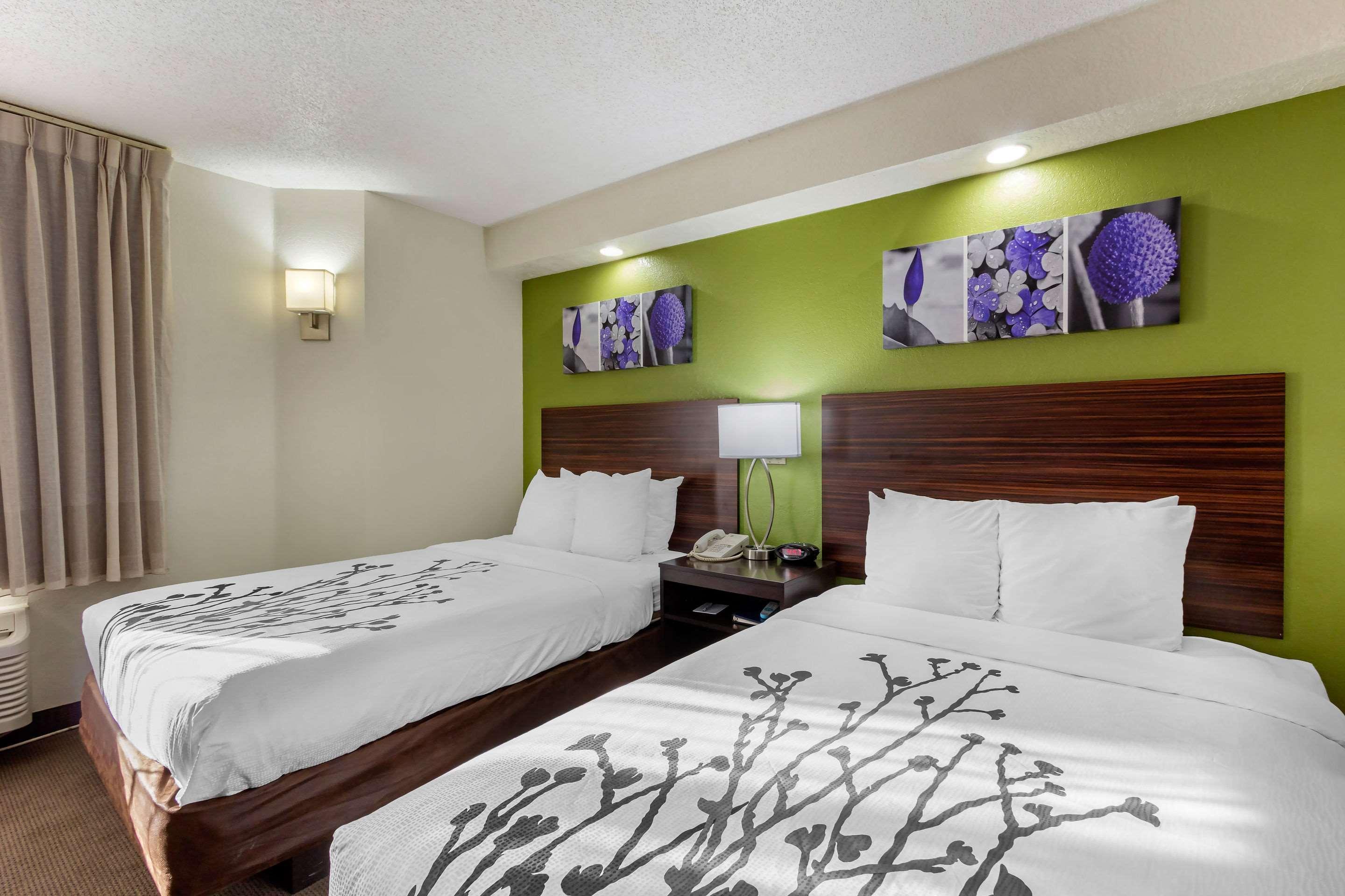 Sleep Inn Near Busch Gardens - Usf Temple Terrace Exteriör bild