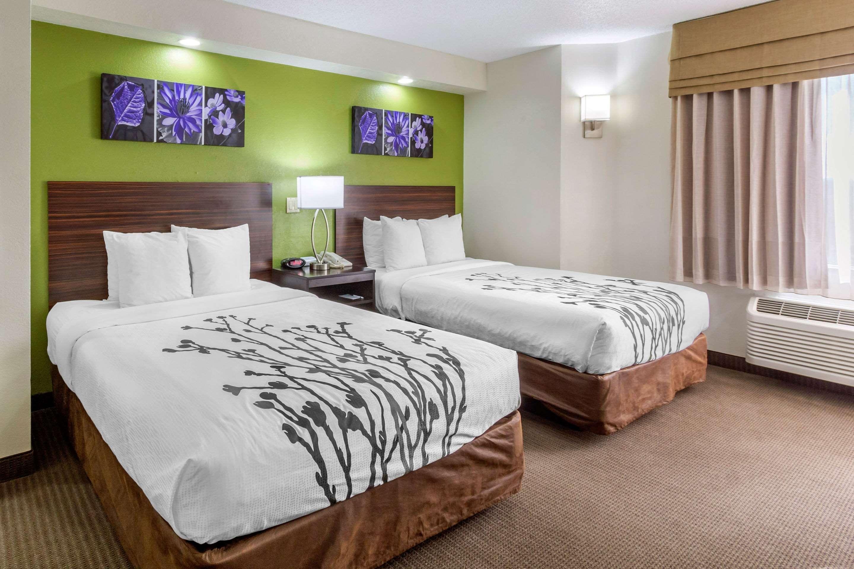 Sleep Inn Near Busch Gardens - Usf Temple Terrace Exteriör bild