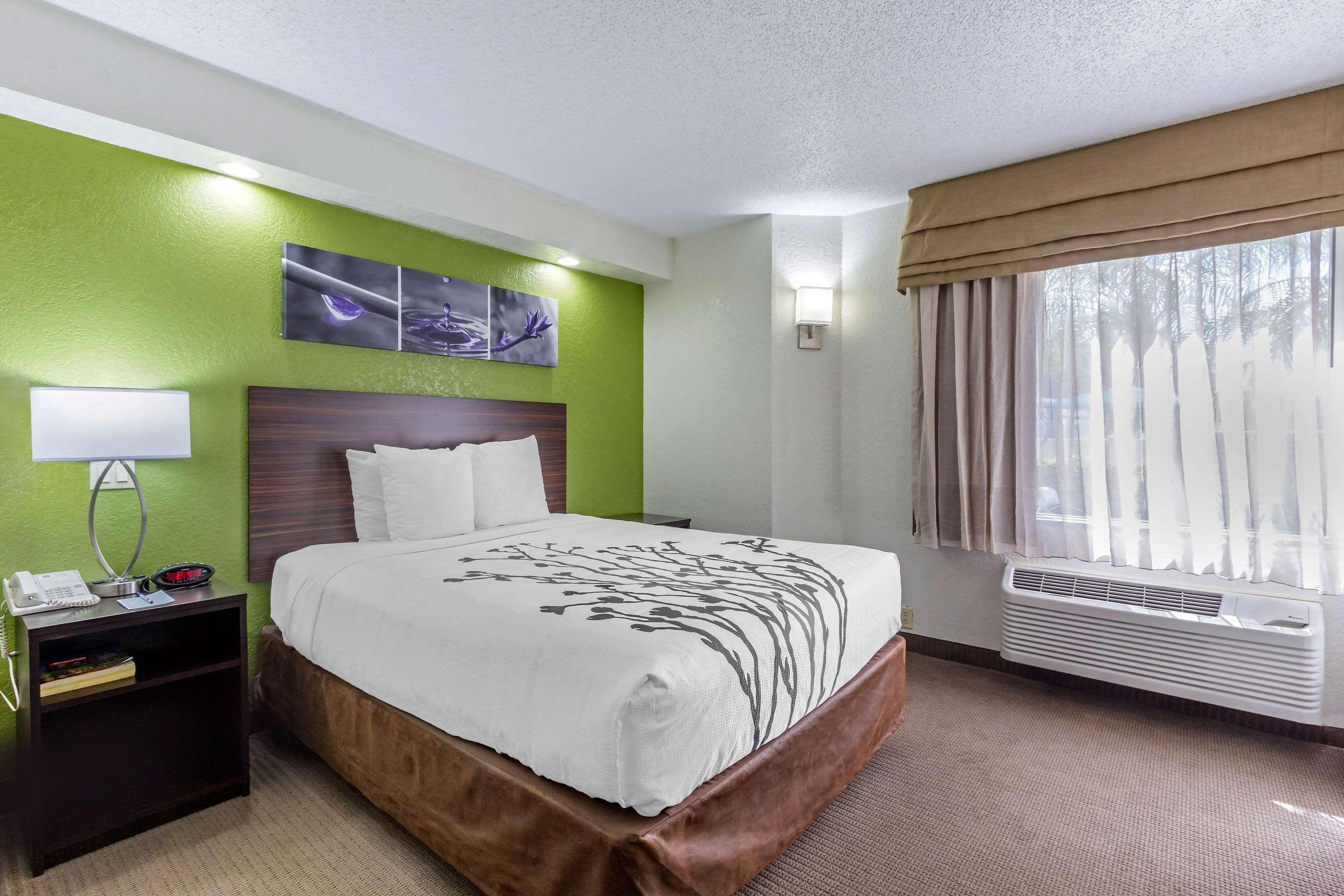 Sleep Inn Near Busch Gardens - Usf Temple Terrace Exteriör bild
